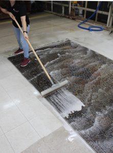 Rug & Carpet Washing expert